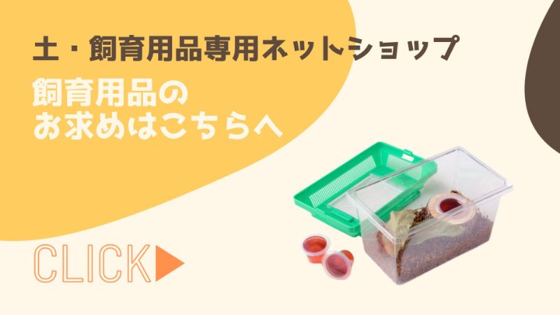 土・飼育用品専用ネットショップはこちら